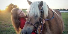 Koně u Vendi foto