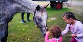 Golden River Ranch foto