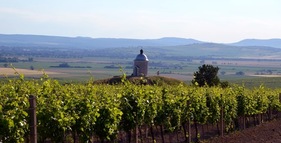 Naučná stezka Mezi vinicemi foto