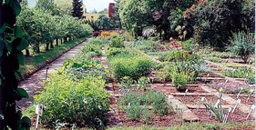 Botanická zahrada Střední zemědělské školy foto
