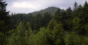 Vrch Makyta – 923 m n.m. foto