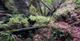 Rokle Kočičina foto