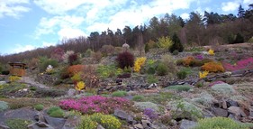 Arboretum Makču Pikču foto