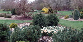 Arboretum Šmelcovna foto