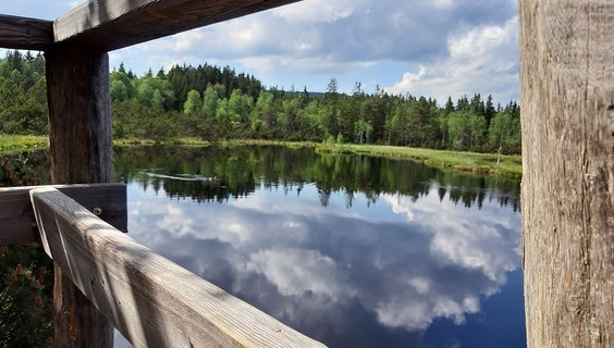 Chalupská Slať | Jiné Atrakce Borová Lada | NaVylet.cz