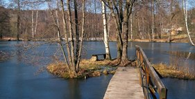 Ostrovský rybník foto
