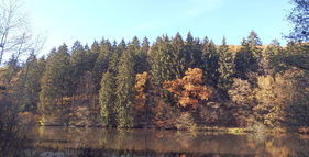 Naučná stezka Hády a údolí Říčky foto