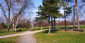 Hostivařský lesopark foto