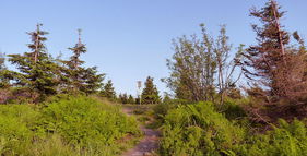 Vrchol Smrk - 1276 m n. m. foto