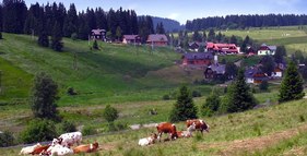 Naučná stezka Nelesní krajina foto