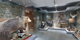 Slezské zemské muzeum foto