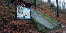 Klenov foto