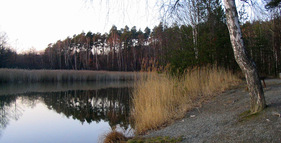 Senecký rybník foto