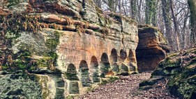 Naučná stezka Vinořský park a Satalická bažantnice foto