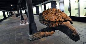 Alšova jihočeská galerie foto