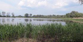 Přírodní park Záhlinické rybníky foto