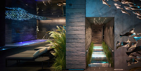 Spa & Wellness Čapí hnízdo foto